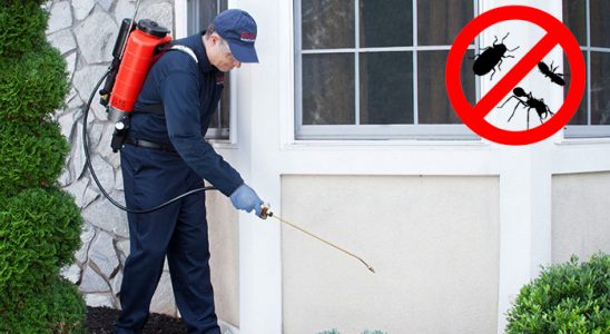 Horasan Böcek İlaçlama böcek ilaçlama ve haşere kontrolü — ilaclama-tr.com